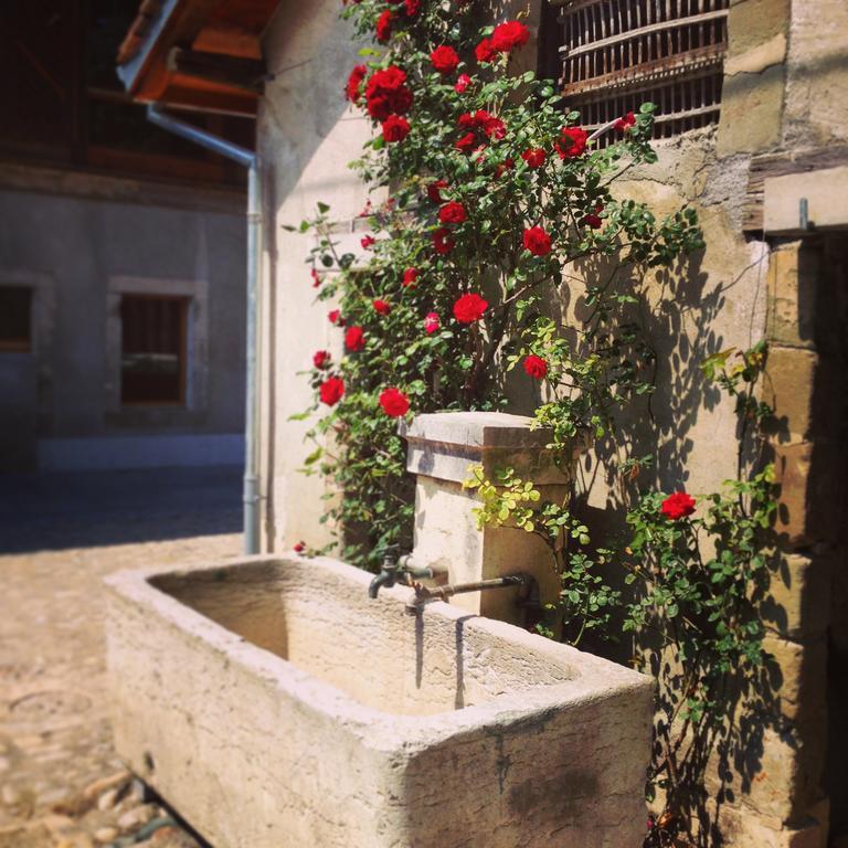 La Ferme Du Lignon Hotel Genf Kültér fotó