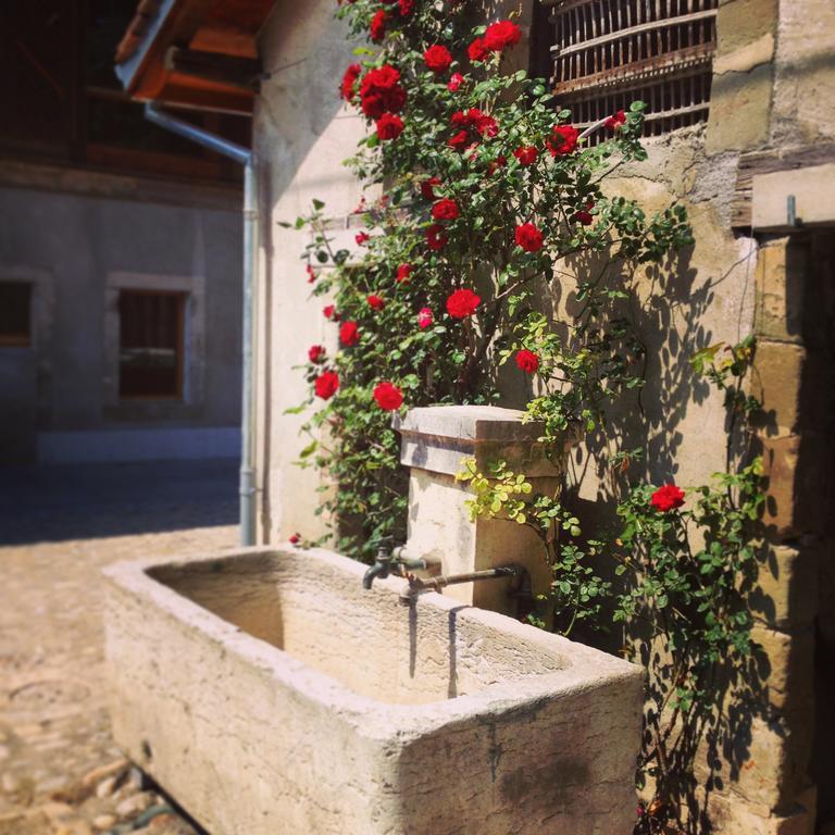 La Ferme Du Lignon Hotel Vernier Kültér fotó